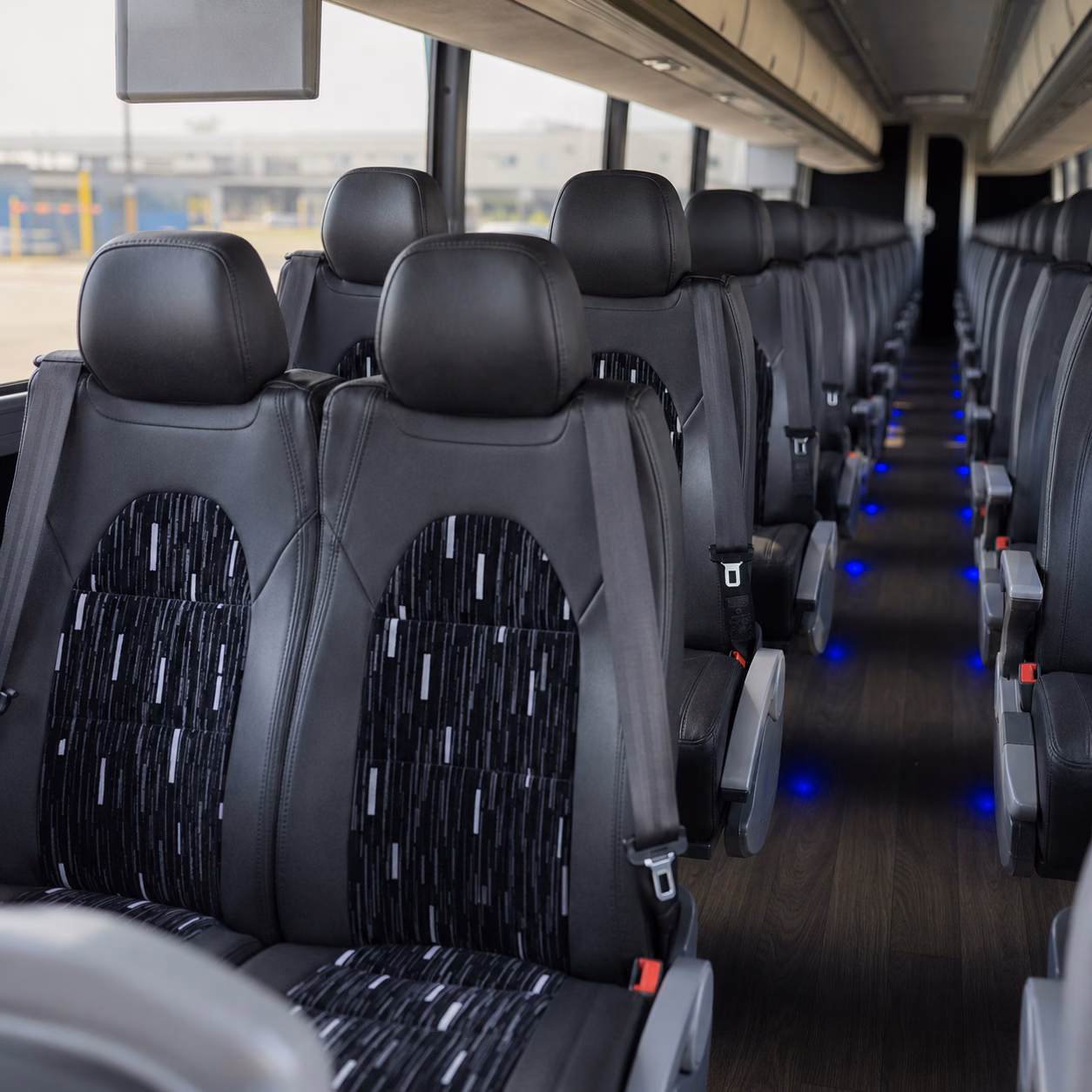 clearwater bus rentals for florida road trips and south carolina travel